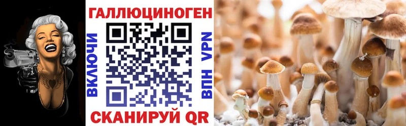 Галлюциногенные грибы Psilocybe  Купить где  Симферополь 